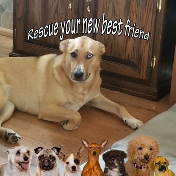 Meet your Posher, Kathy - Picture 1 of 1